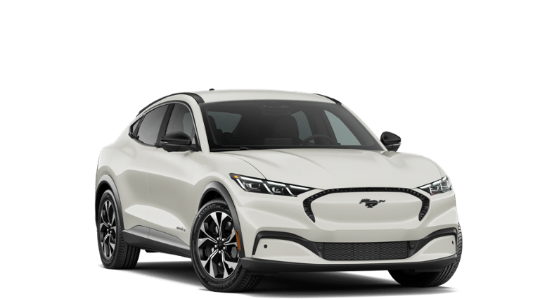 Mustang Mach-E® vehicle